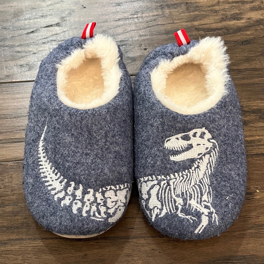 Cozy Dinosaur Fossil Slippers